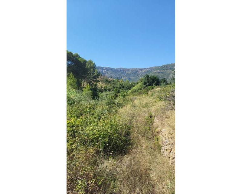 Terrain · D'occasion · Parcent · Partida Durmais