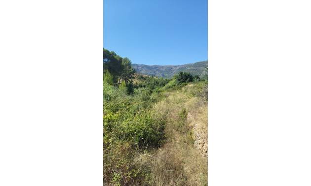 Terrain - D'occasion - Parcent - Partida Durmais