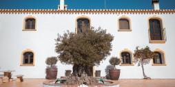 Tweedehands - 5. Finca / Landgoed - Lorca
