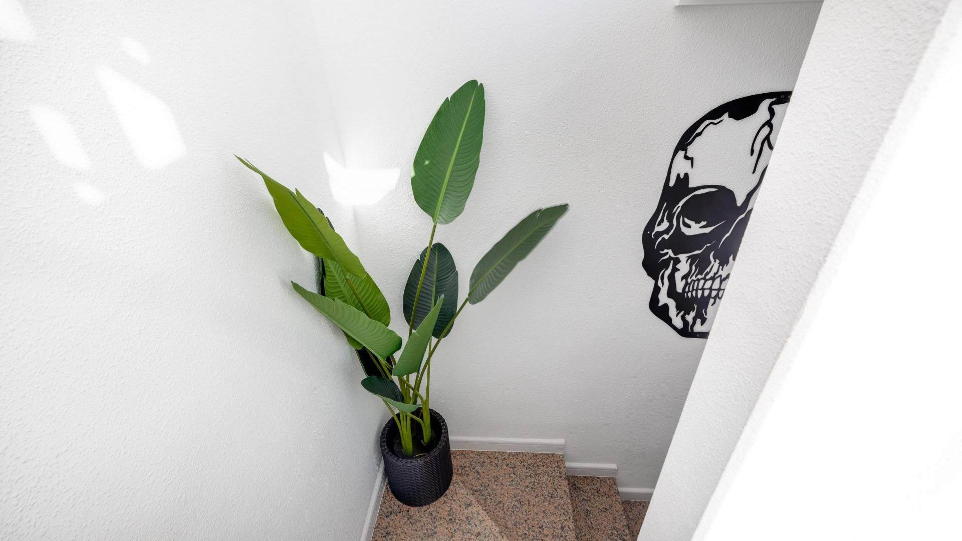 Tweedehands - Adosado - Orihuela Costa - Los Altos