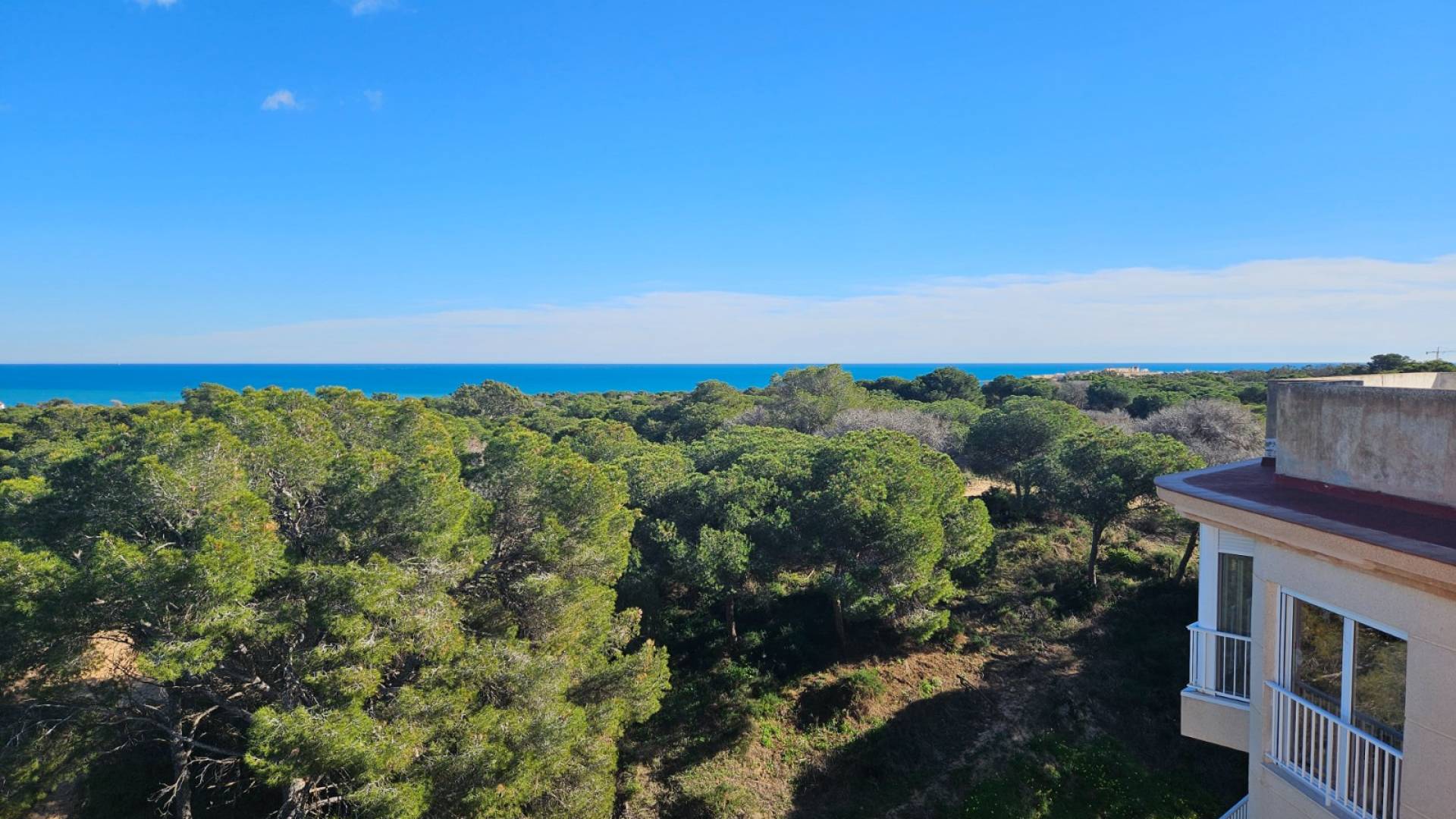 Tweedehands - Appartement Begane Grond Appartement - Guardamar del Segura - Guardamar