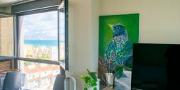 Tweedehands - Appartement - El Campello