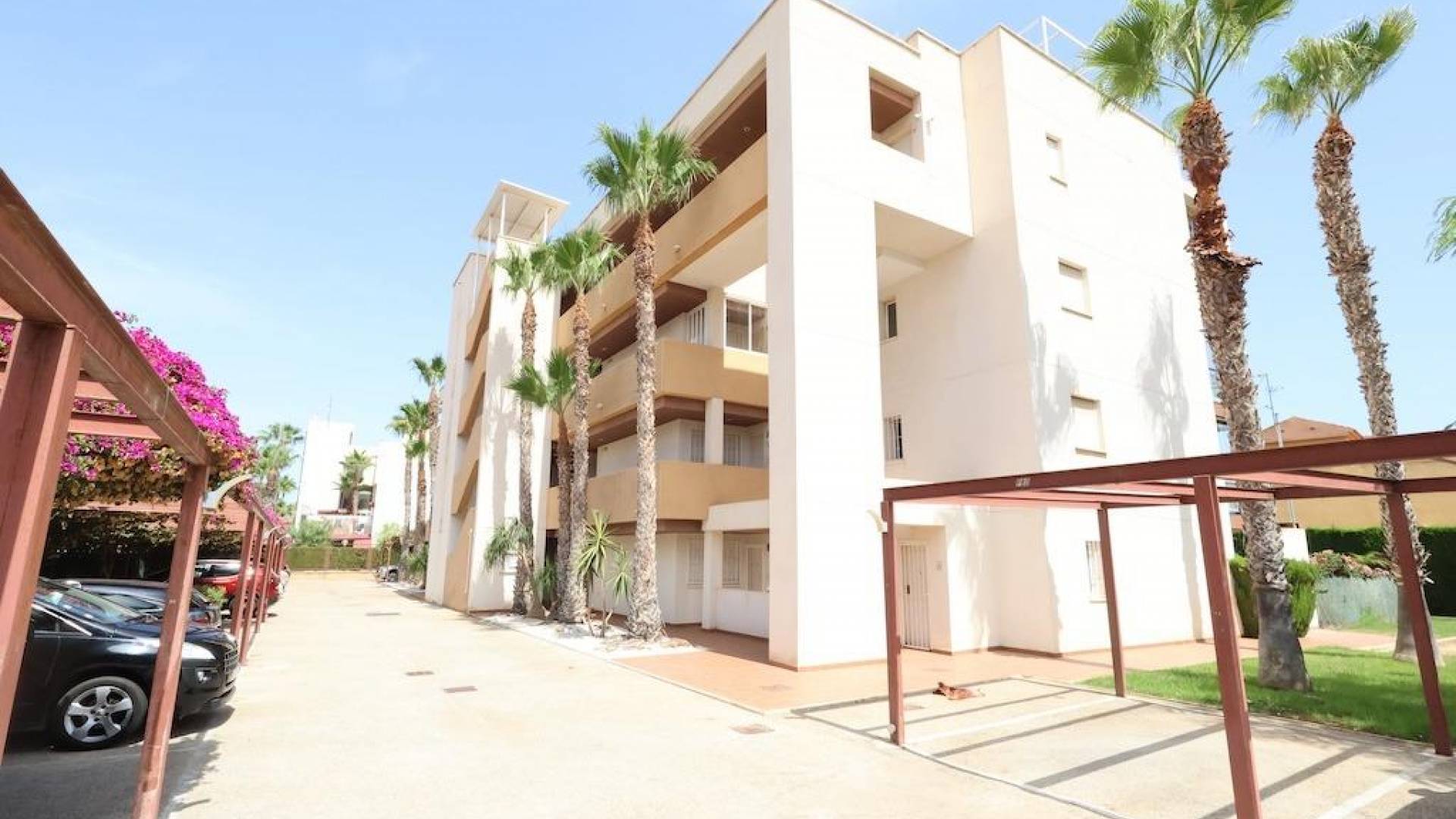 Tweedehands - Appartement - Orihuela Costa - La Regia