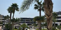 Tweedehands - Appartement - Orihuela Costa - Playa Flamenca