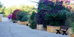 Tweedehands - Appartement - Orihuela - Orihuela Costa