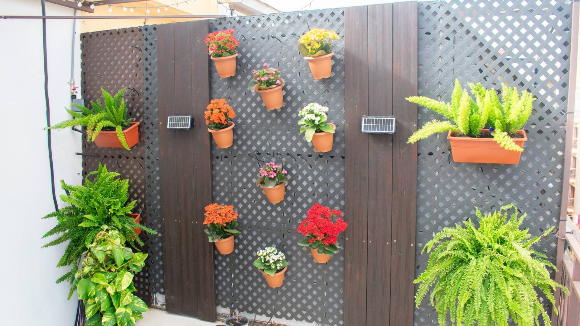 Tweedehands - Appartement - Plat - Benidorm - Levante