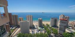 Tweedehands - Appartement  Plat - Benidorm