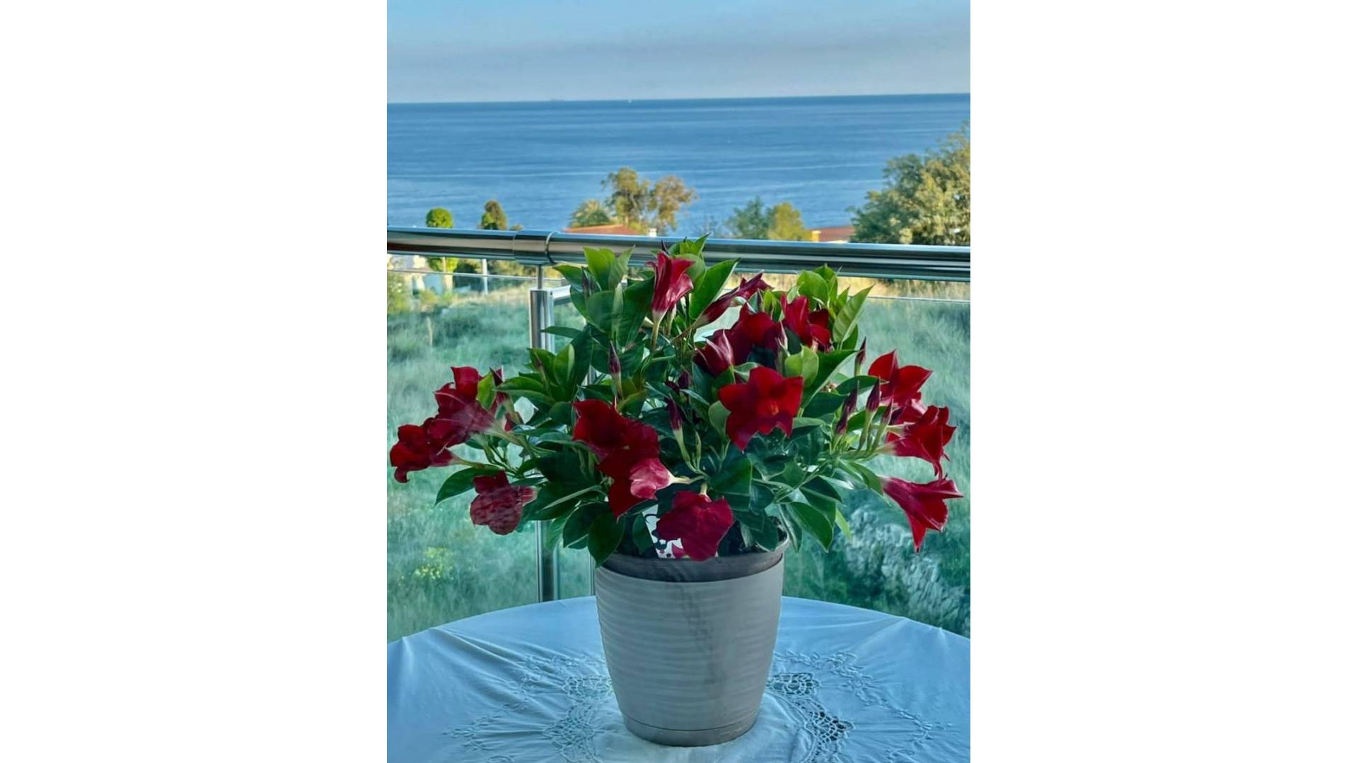 Tweedehands - Appartement - Plat - Calpe