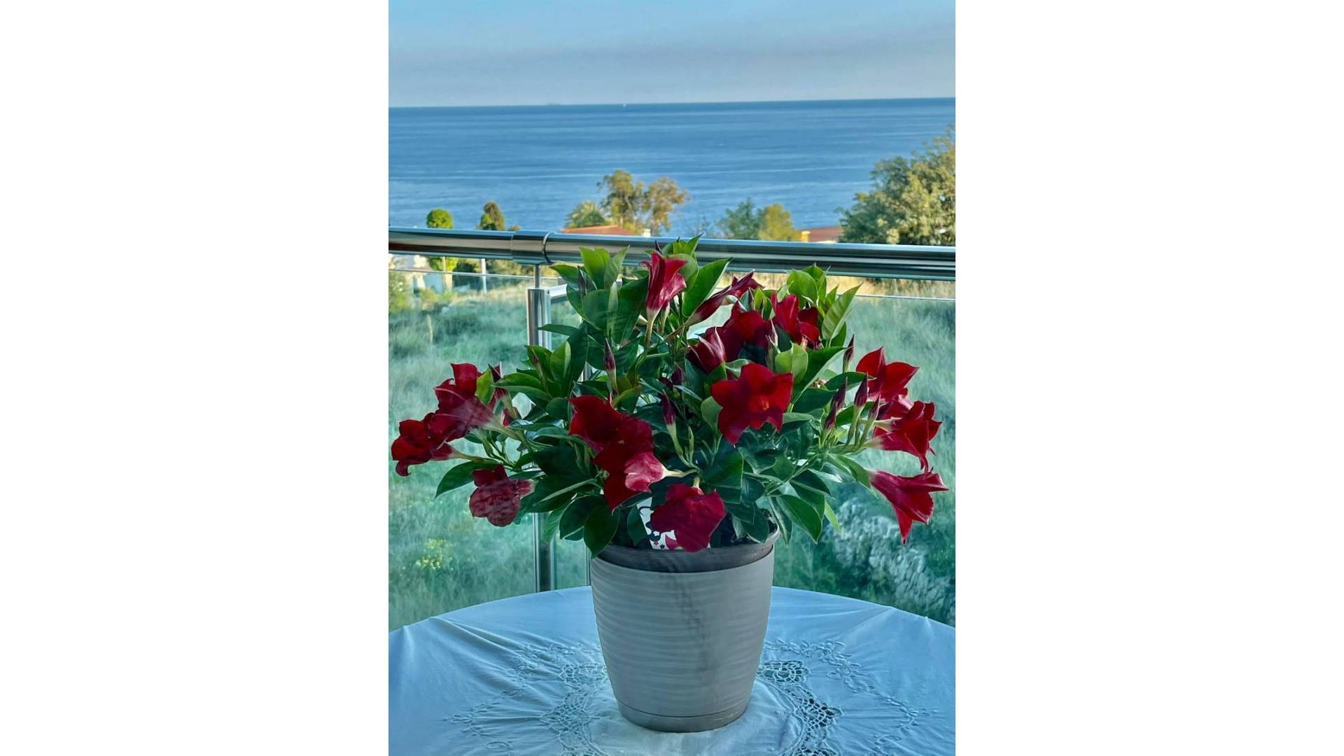 Tweedehands - Appartement - Plat - Calpe