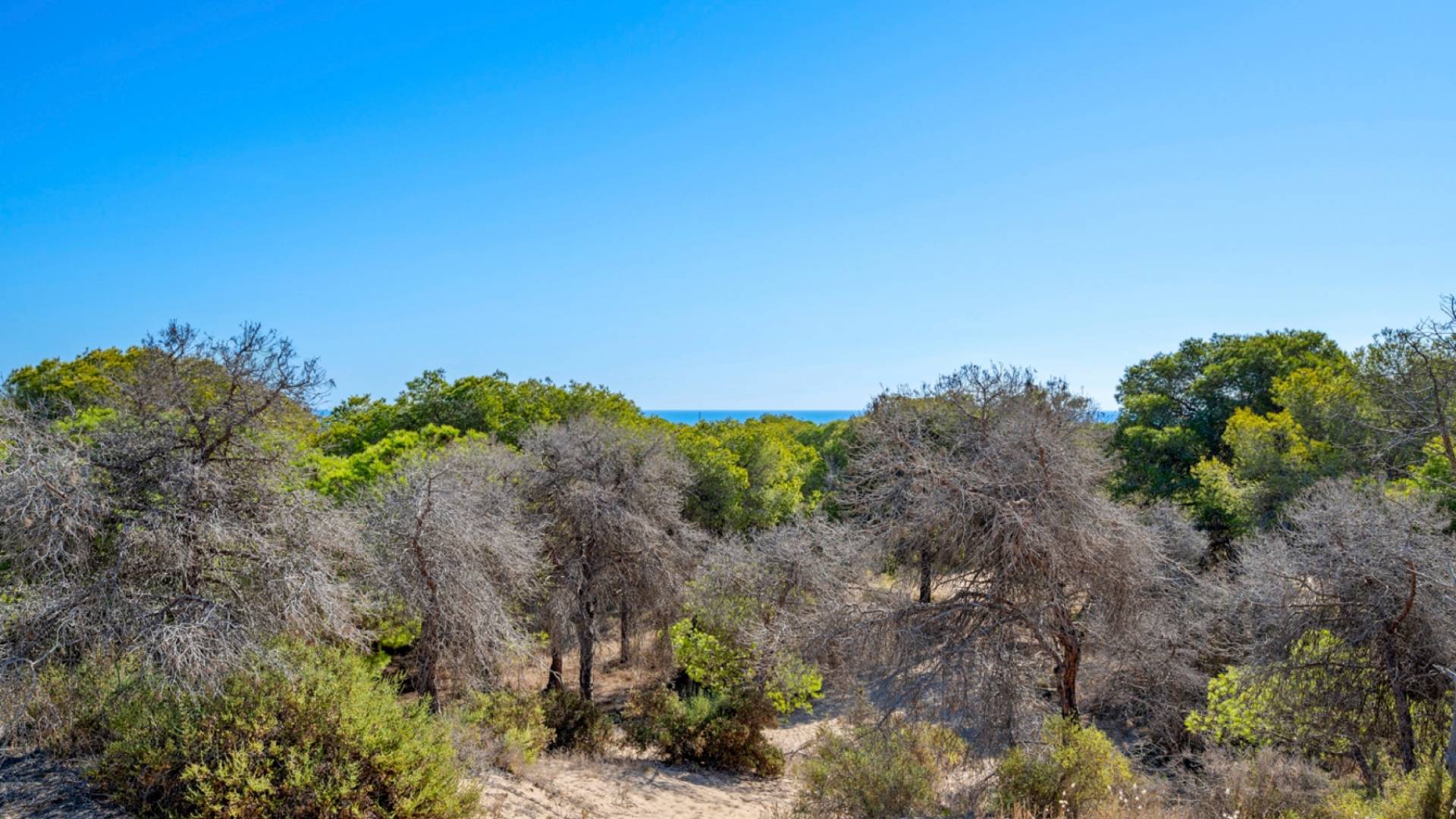 Tweedehands - Appartement - Plat - Guardamar del Segura - Guardamar