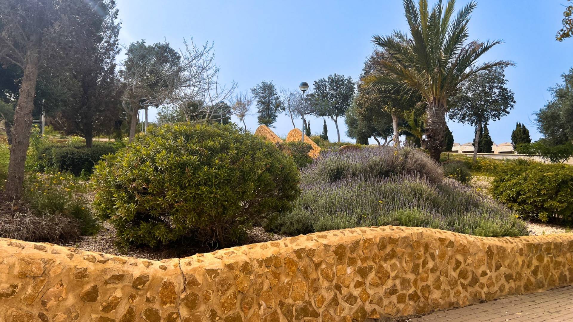 Tweedehands - Appartement  Plat - Guardamar del Segura