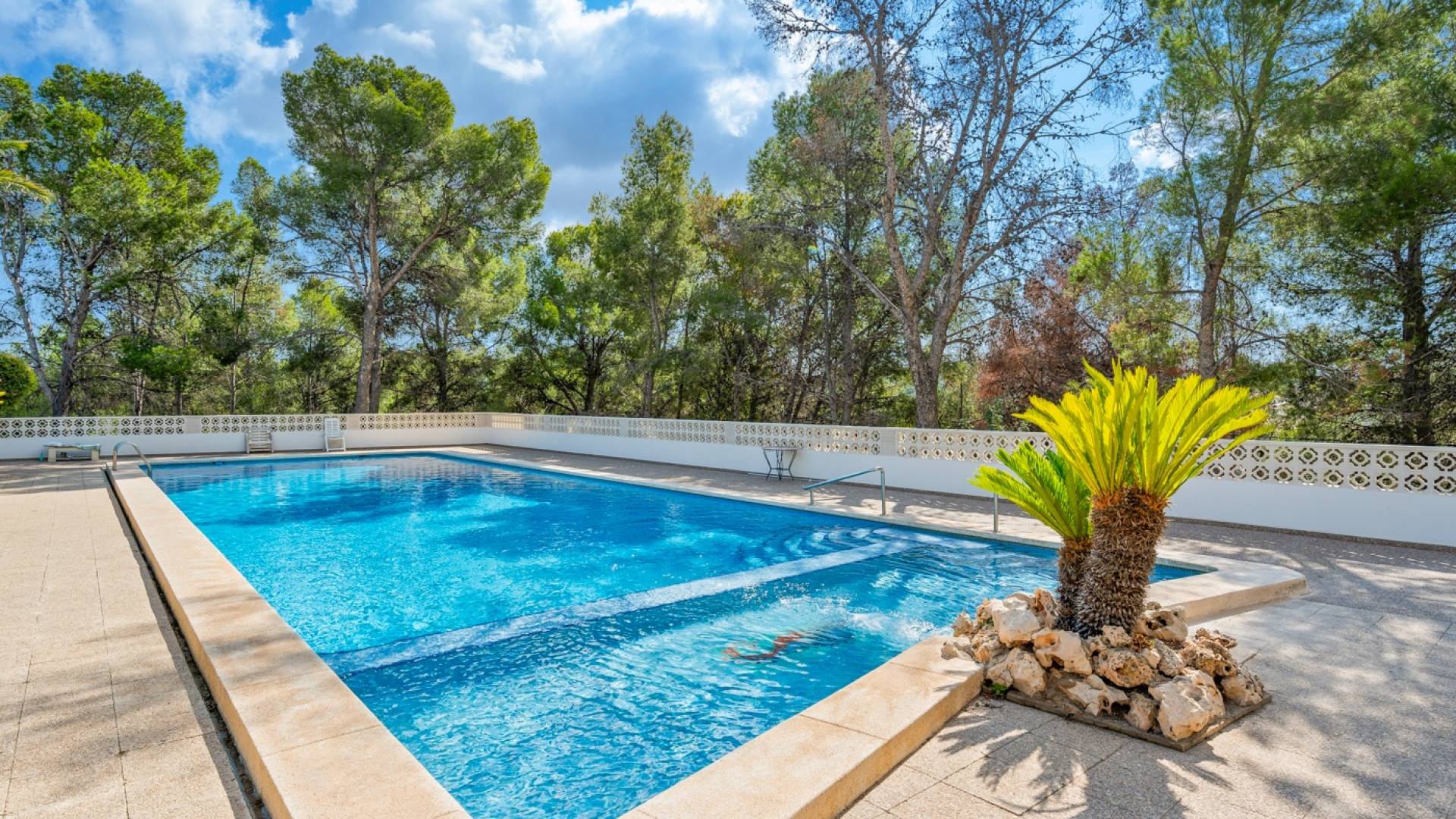 Tweedehands - Appartement - Plat - La Nucía