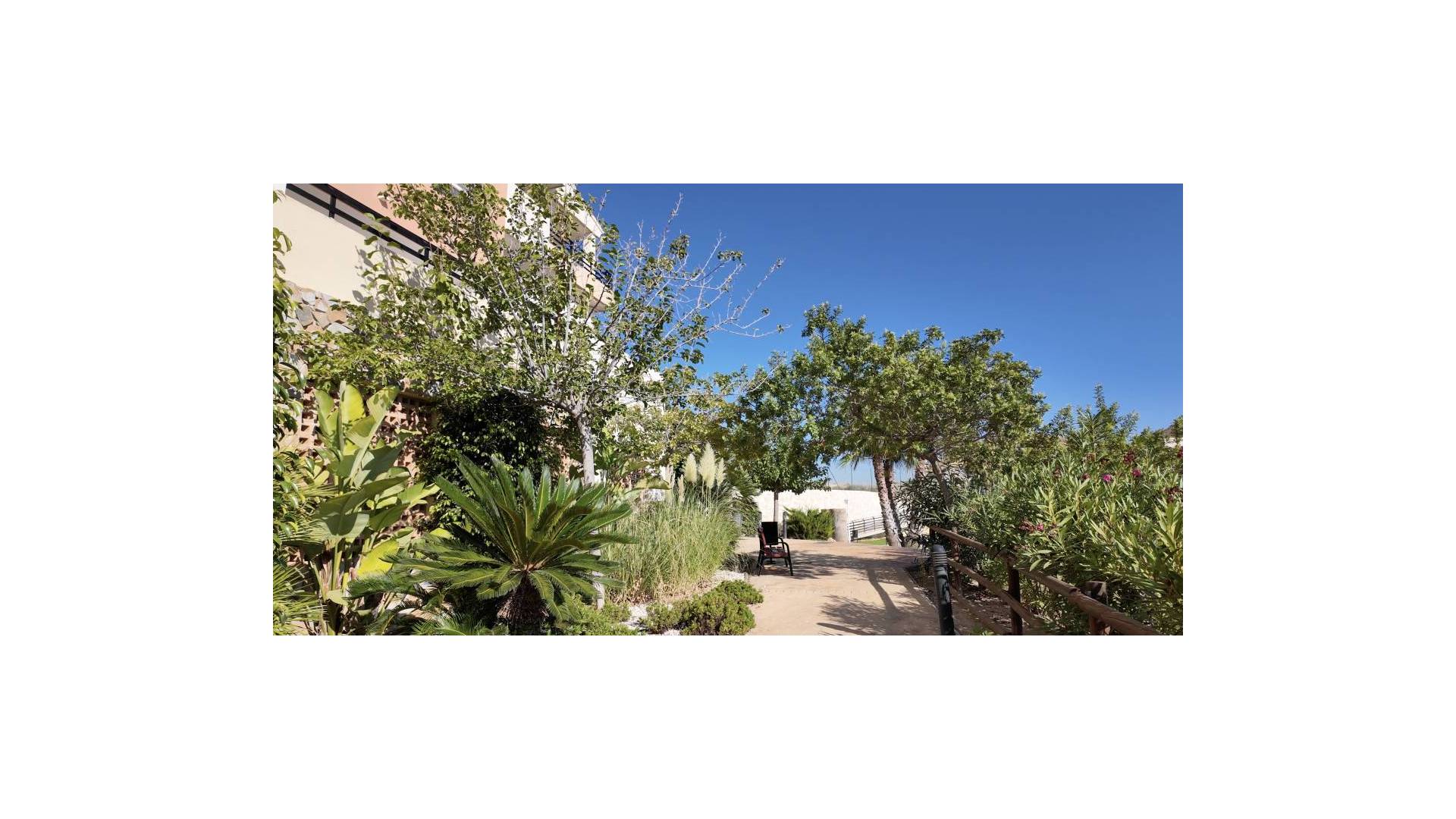 Tweedehands - Appartement - Plat - Muchamiel - Mutxamel