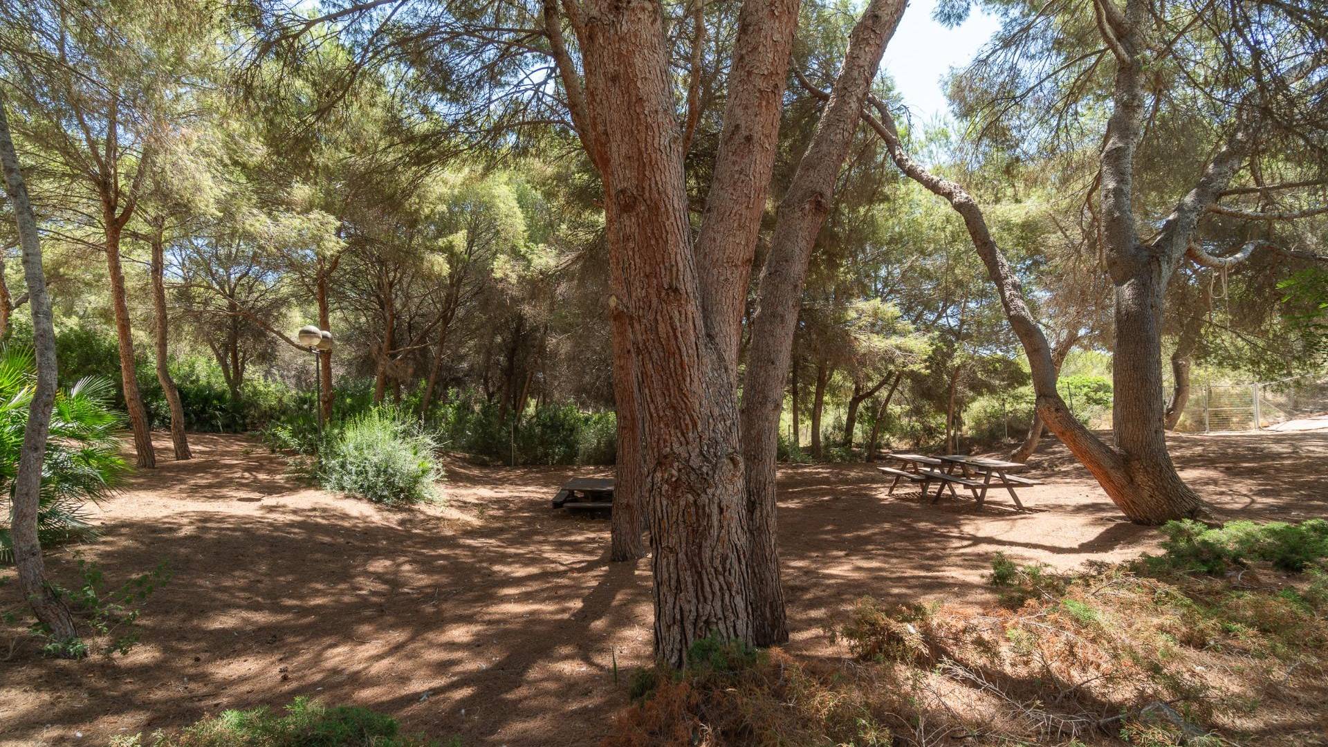 Tweedehands - Appartement  Plat - Orihuela Costa - Altos de Campoamor