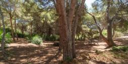 Tweedehands - Appartement  Plat - Orihuela Costa - Altos de Campoamor