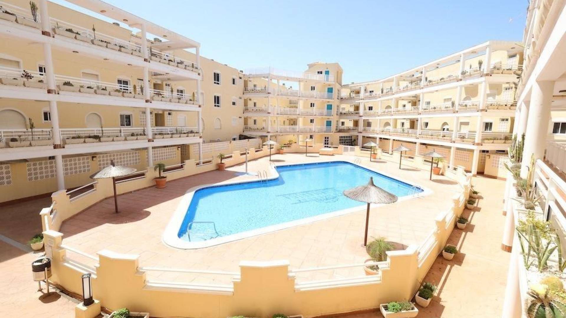 Tweedehands - Appartement  Plat - Orihuela Costa - Campoamor