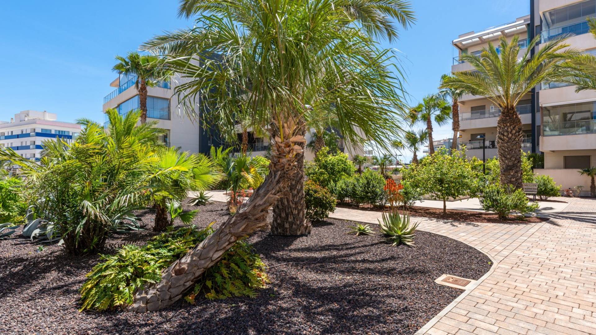 Tweedehands - Appartement  Plat - Orihuela Costa - Los Dolses