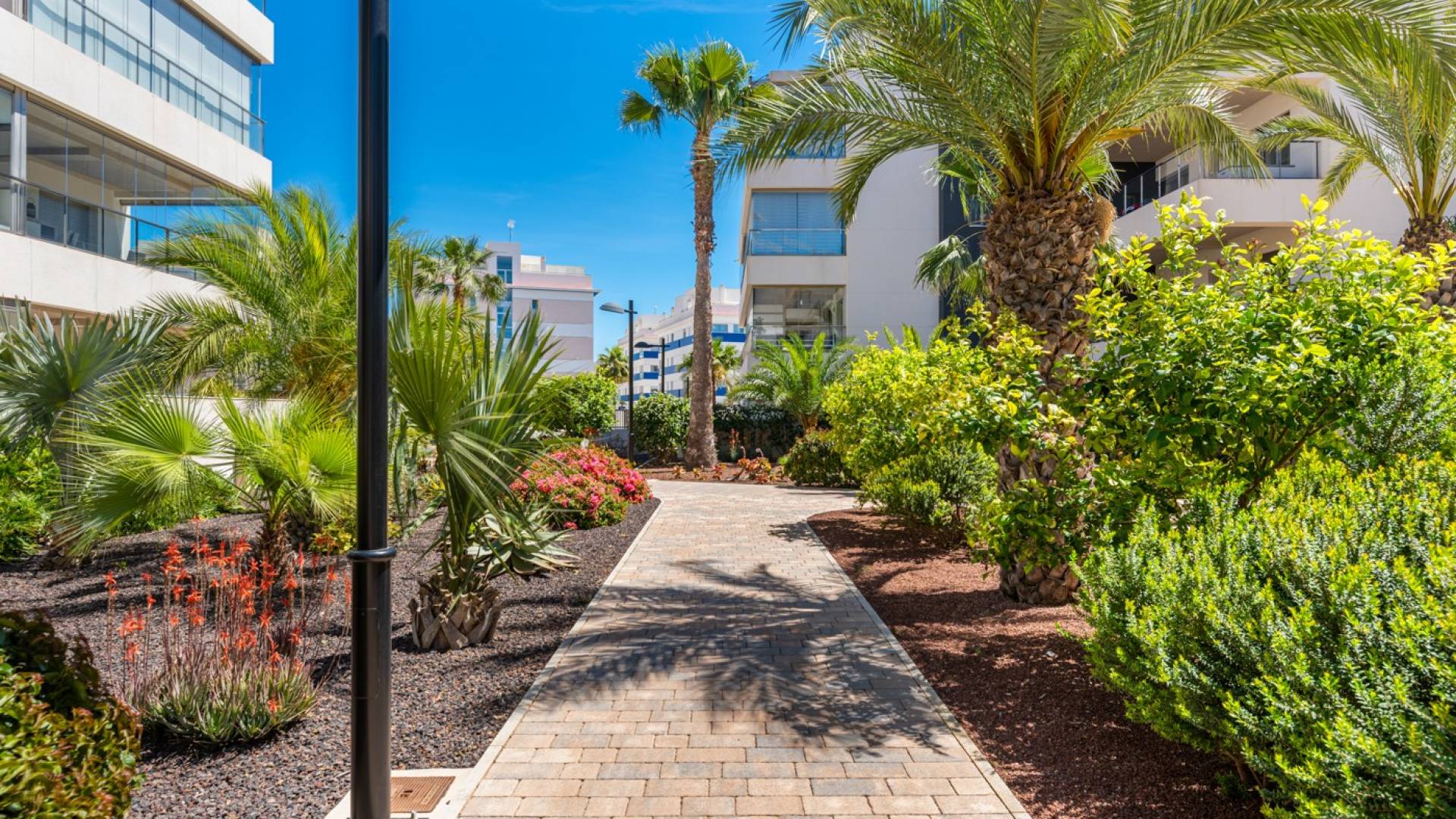 Tweedehands - Appartement  Plat - Orihuela Costa - Los Dolses