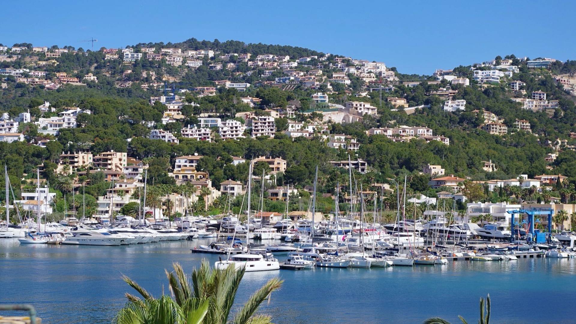 Tweedehands - Appartement - Plat - Port d'Andratx - Andratx