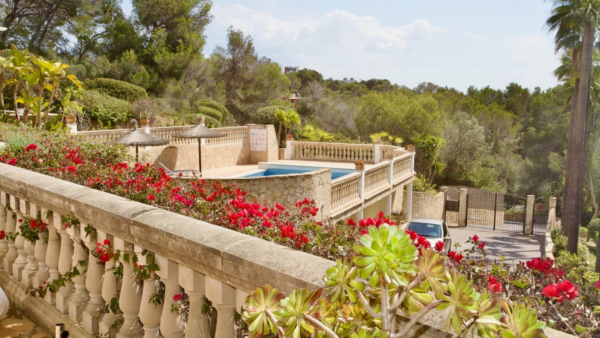 Tweedehands - Appartement - Plat - Portals Nous - Calvià