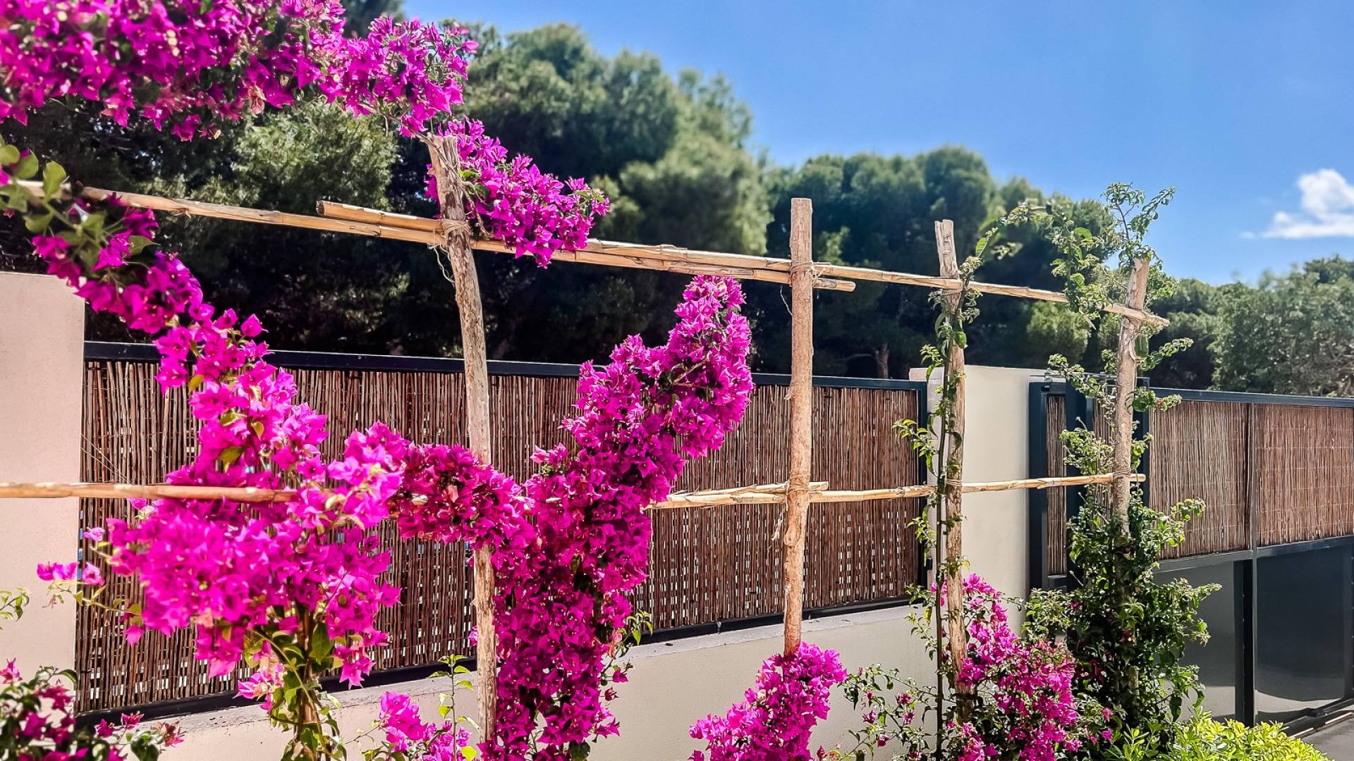 Tweedehands - Appartement  Plat - SAN JAVIER - Santiago de la Ribera