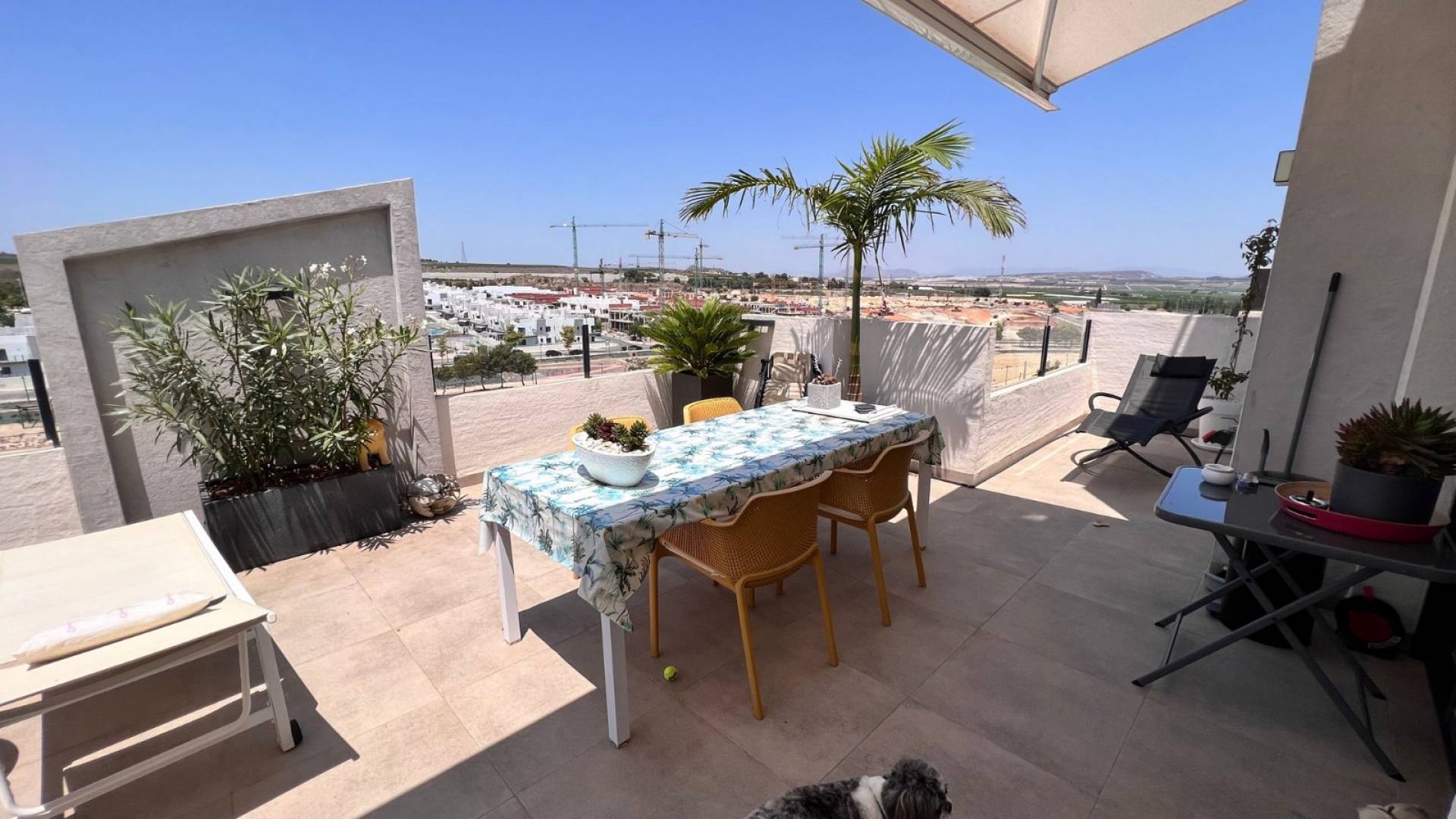 Tweedehands - Appartement - Plat - San Miguel de Salinas - San Miguel Salinas