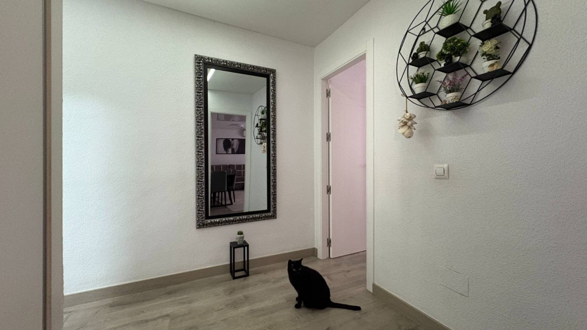 Tweedehands - Appartement - Plat - Torrevieja - Centro