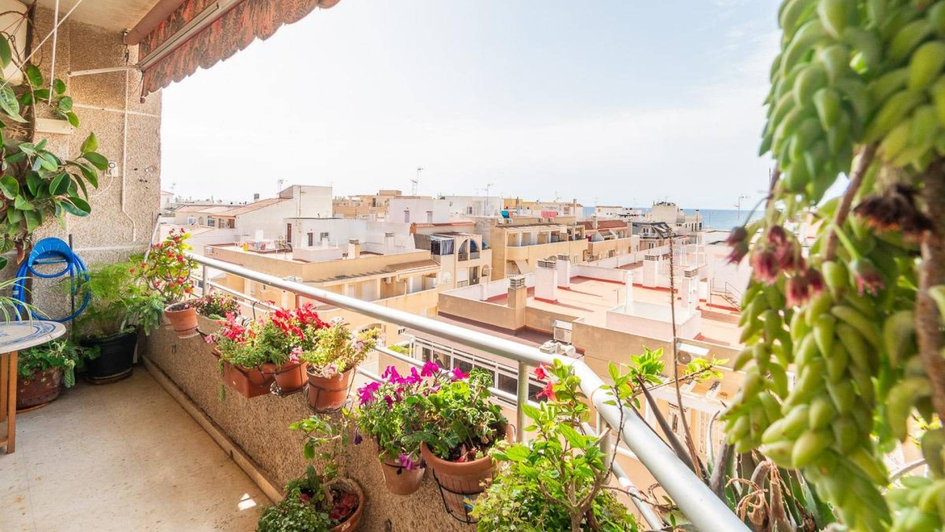 Tweedehands - Appartement  Plat - Torrevieja - Curva del Palangre