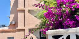 Tweedehands - Appartement  Plat - Torrevieja - La Mata