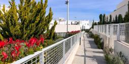 Tweedehands - Appartement  Plat - Torrevieja - Los balcones