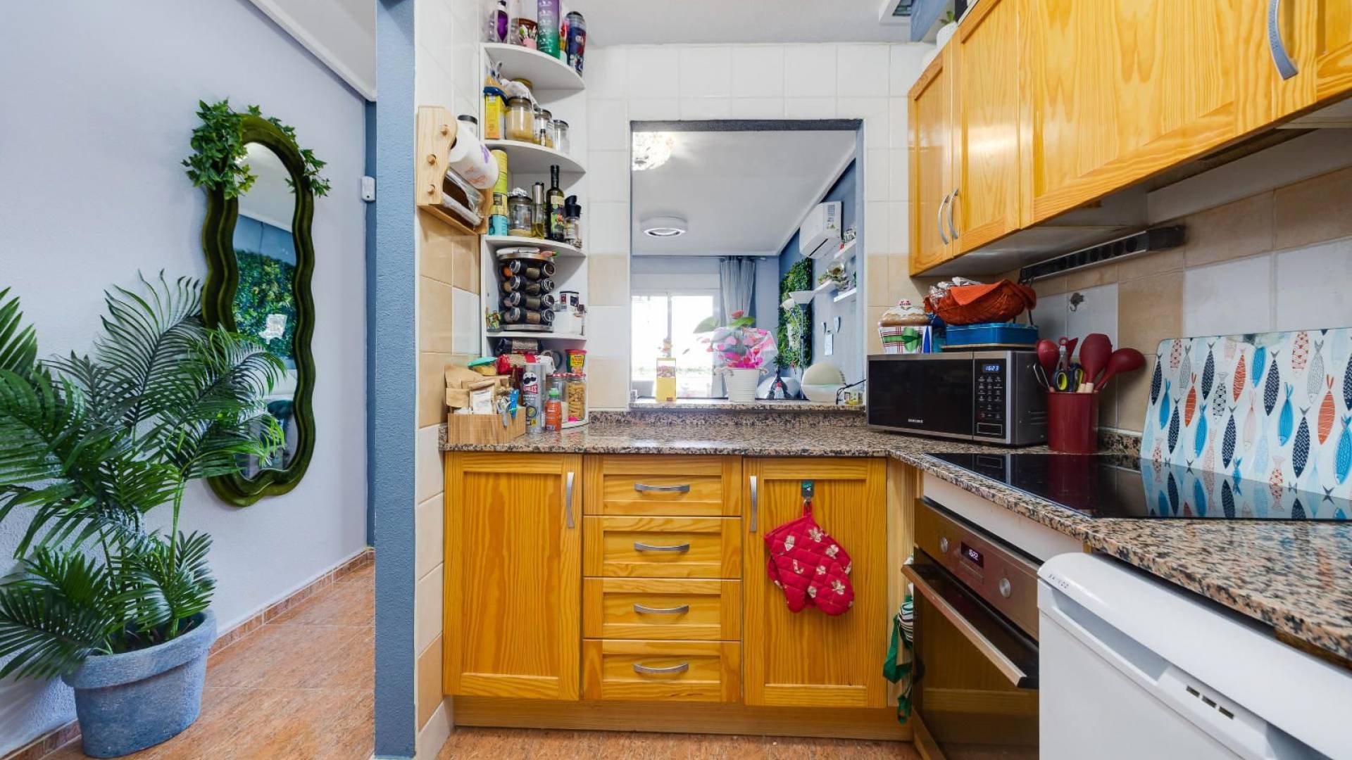 Tweedehands - Appartement  Plat - Torrevieja - parque avenidas