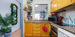 Tweedehands - Appartement  Plat - Torrevieja - parque avenidas
