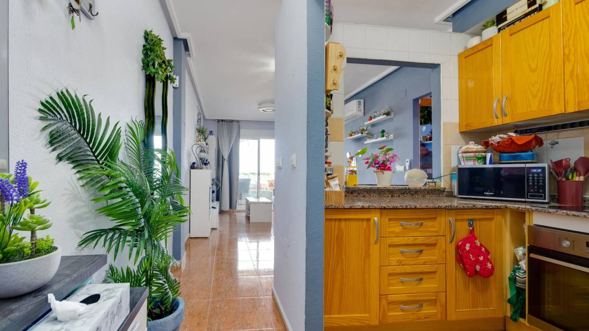 Tweedehands - Appartement  Plat - Torrevieja - parque avenidas