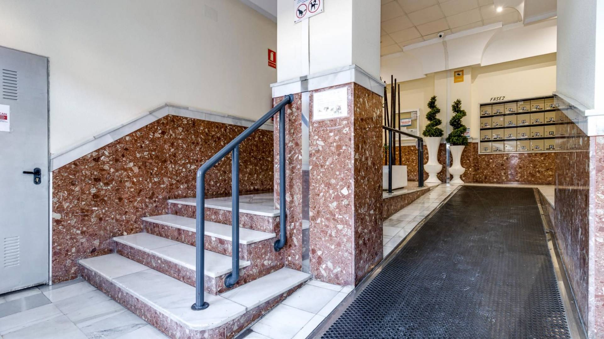 Tweedehands - Appartement  Plat - Torrevieja - parque avenidas
