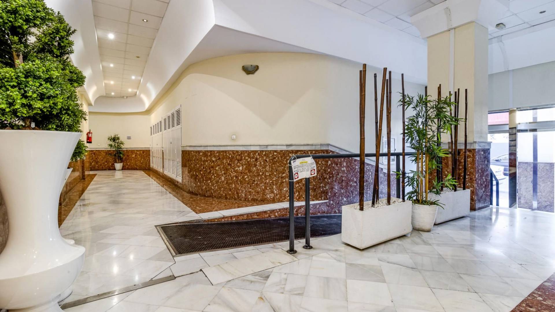 Tweedehands - Appartement  Plat - Torrevieja - parque avenidas