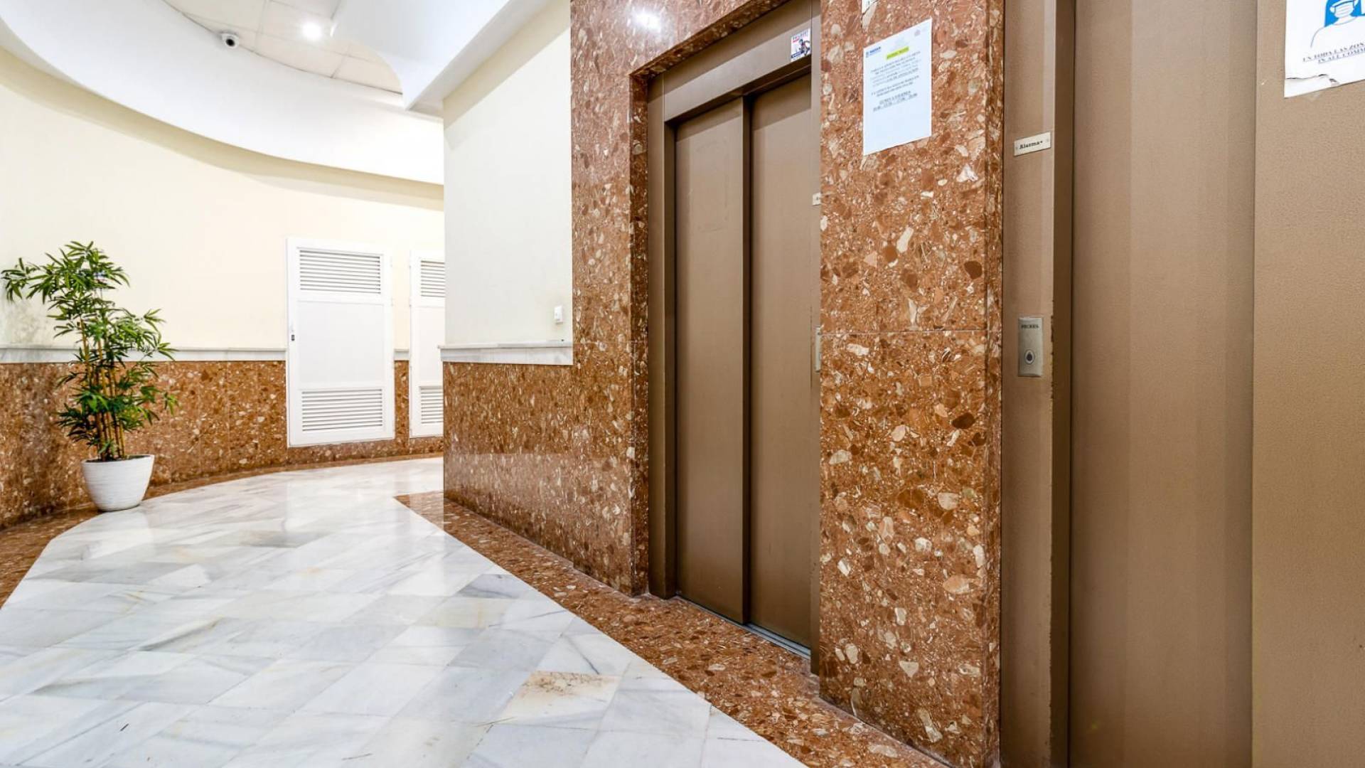 Tweedehands - Appartement  Plat - Torrevieja - parque avenidas