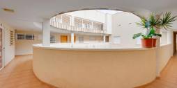 Tweedehands - Appartement  Plat - Torrevieja - parque avenidas