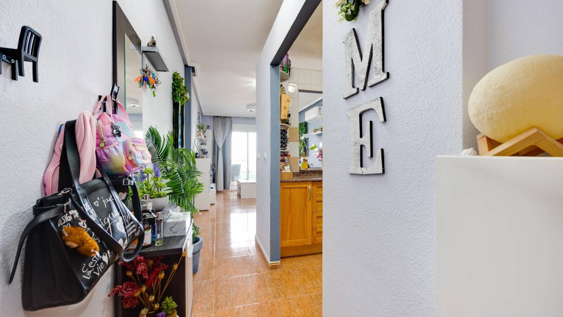 Tweedehands - Appartement  Plat - Torrevieja - parque avenidas