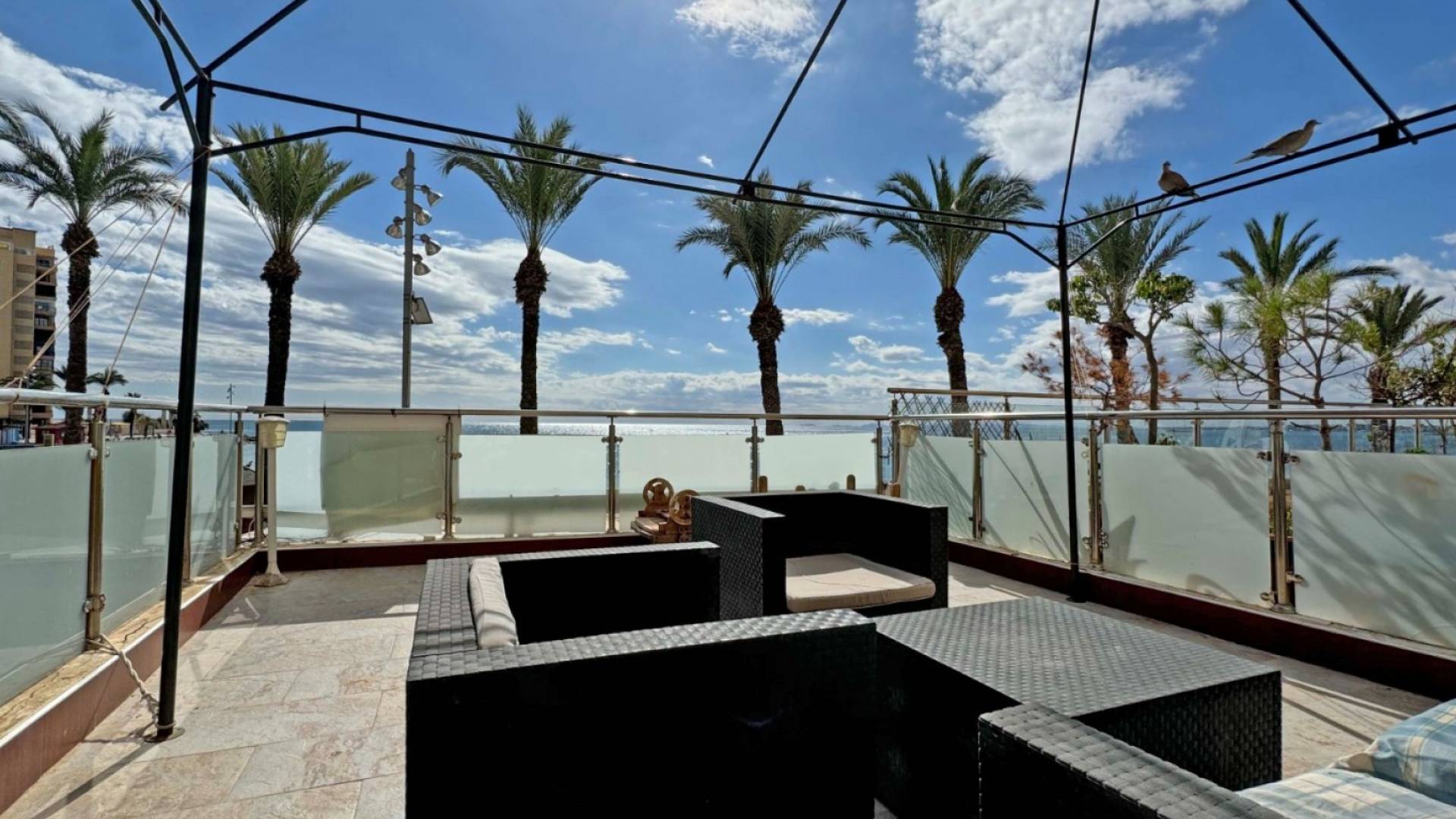 Tweedehands - Appartement - Plat - Torrevieja - Playa del Cura