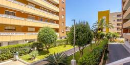 Tweedehands - Appartement  Plat - Torrevieja - 