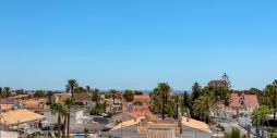 Tweedehands - Appartement  Plat - Torrevieja