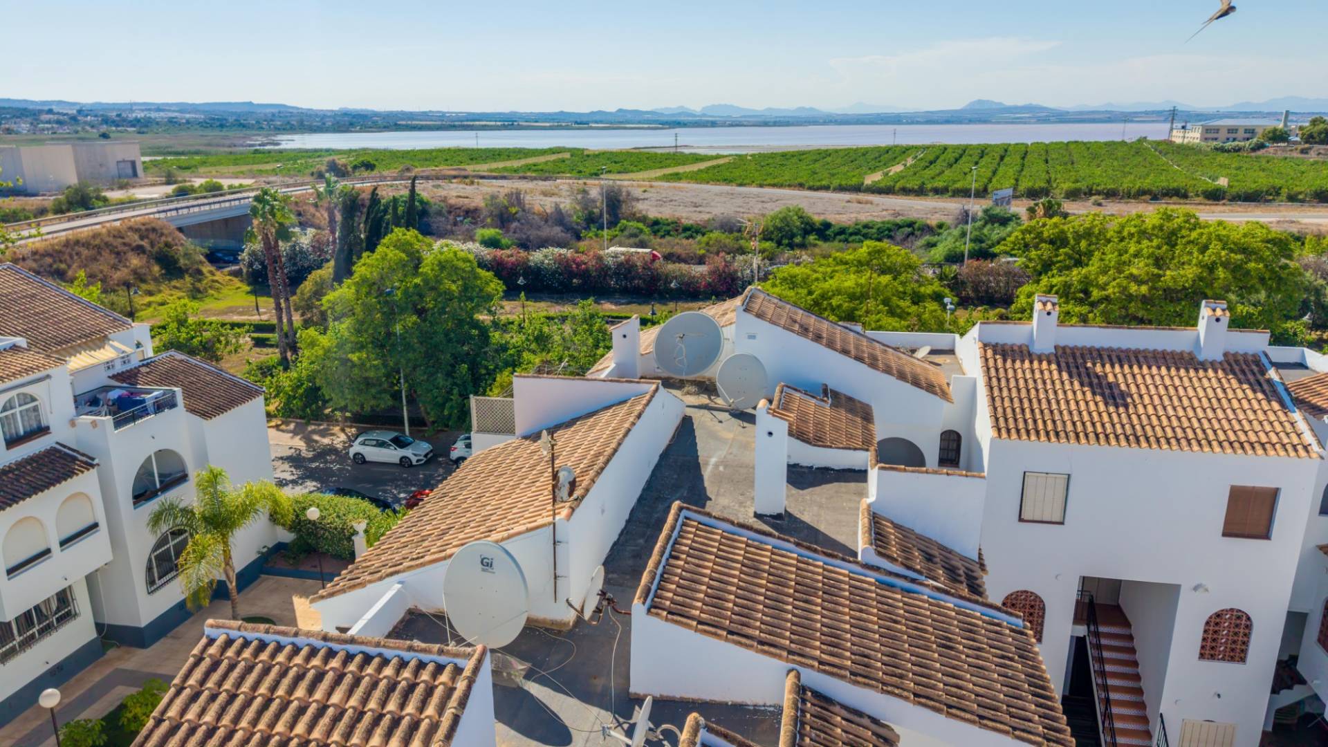 Tweedehands - Appartement  Plat - Torrevieja