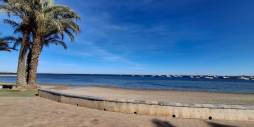 Tweedehands - Appartement - Santiago de la Ribera - 