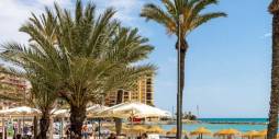 Tweedehands - Appartement - Torrevieja - Centro