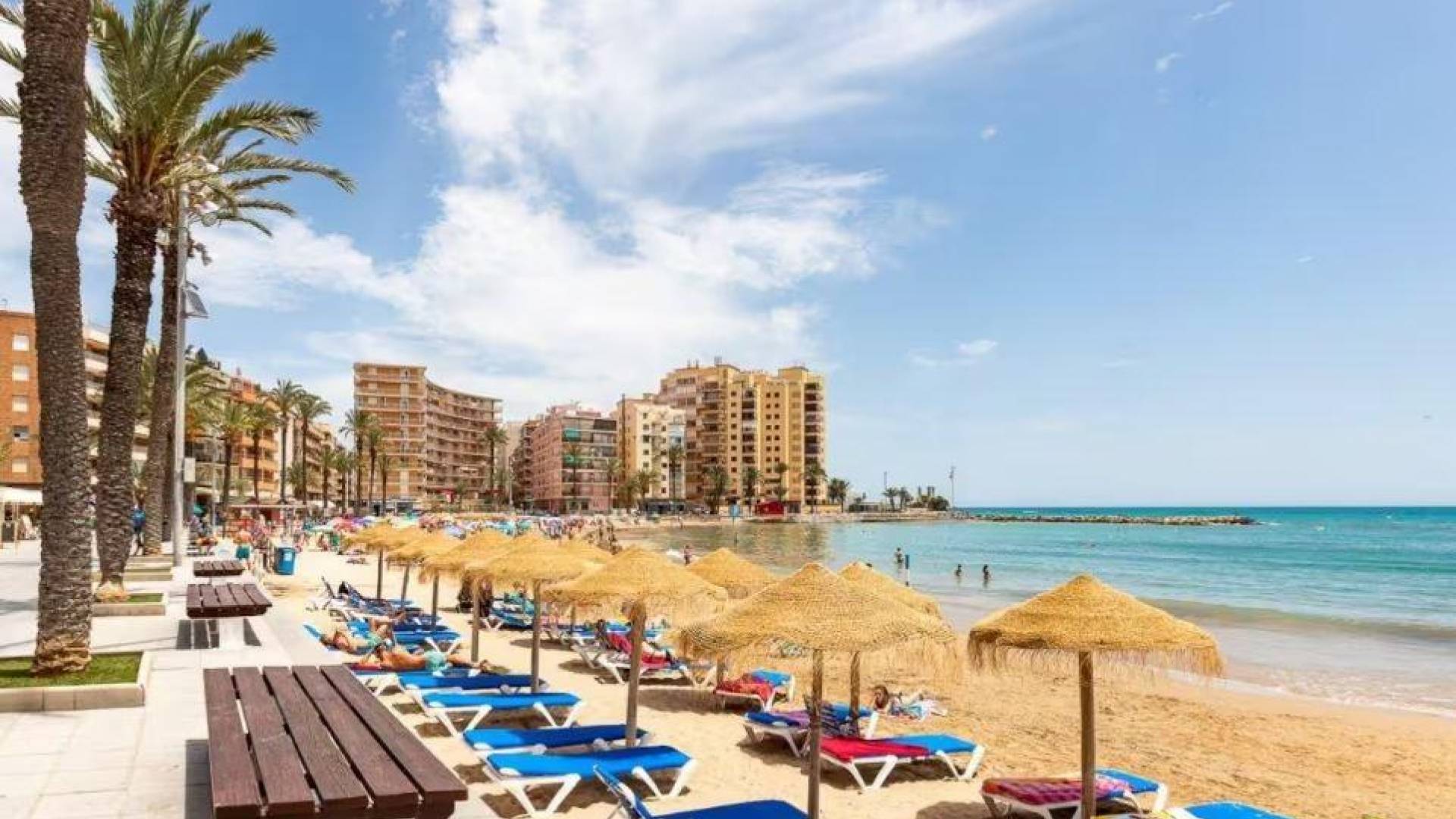 Tweedehands - Appartement - Torrevieja - Centro