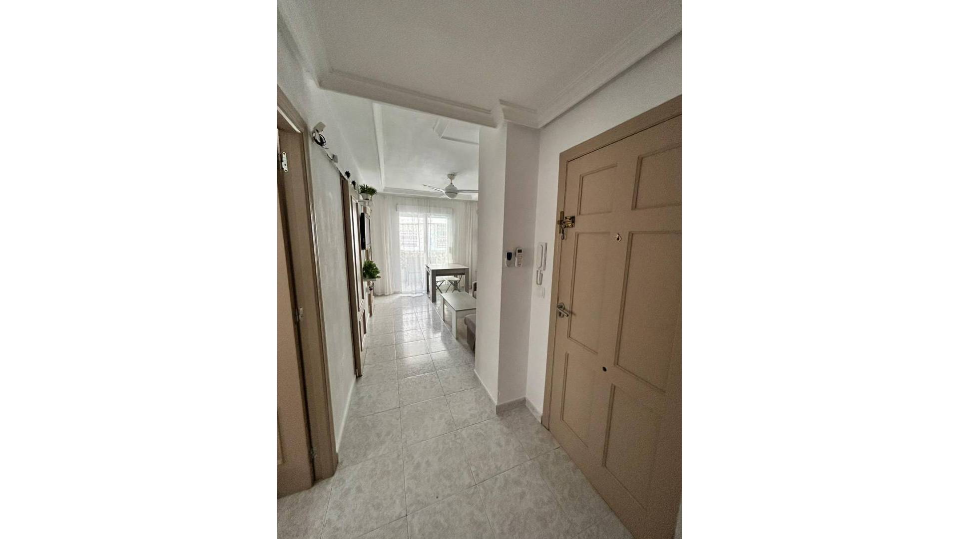 Tweedehands - Appartement - Torrevieja - Estacion de autobuses