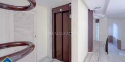 Tweedehands - Appartement - Torrevieja - La veleta