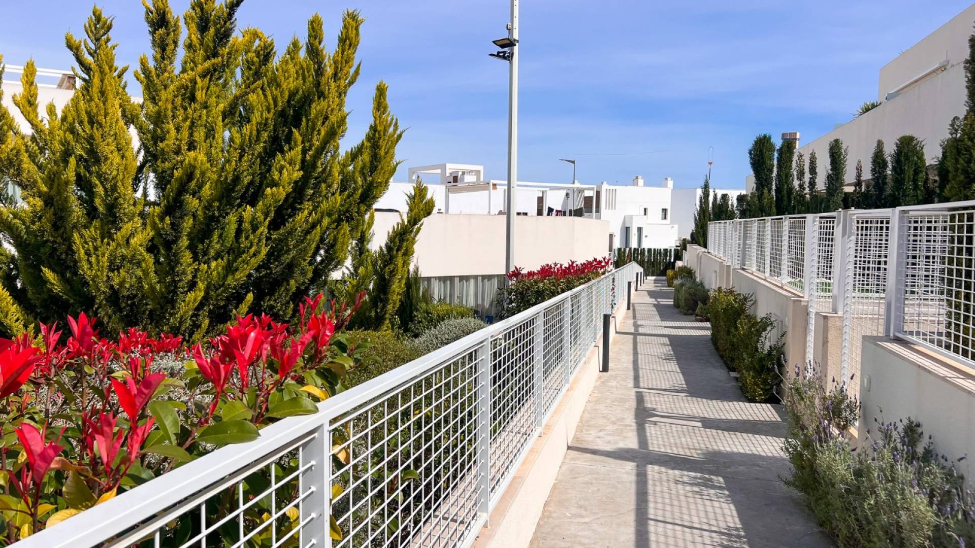 Tweedehands - Appartement - Torrevieja - Los balcones