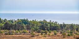 Tweedehands - Appartement - Torrevieja - Punta Prima