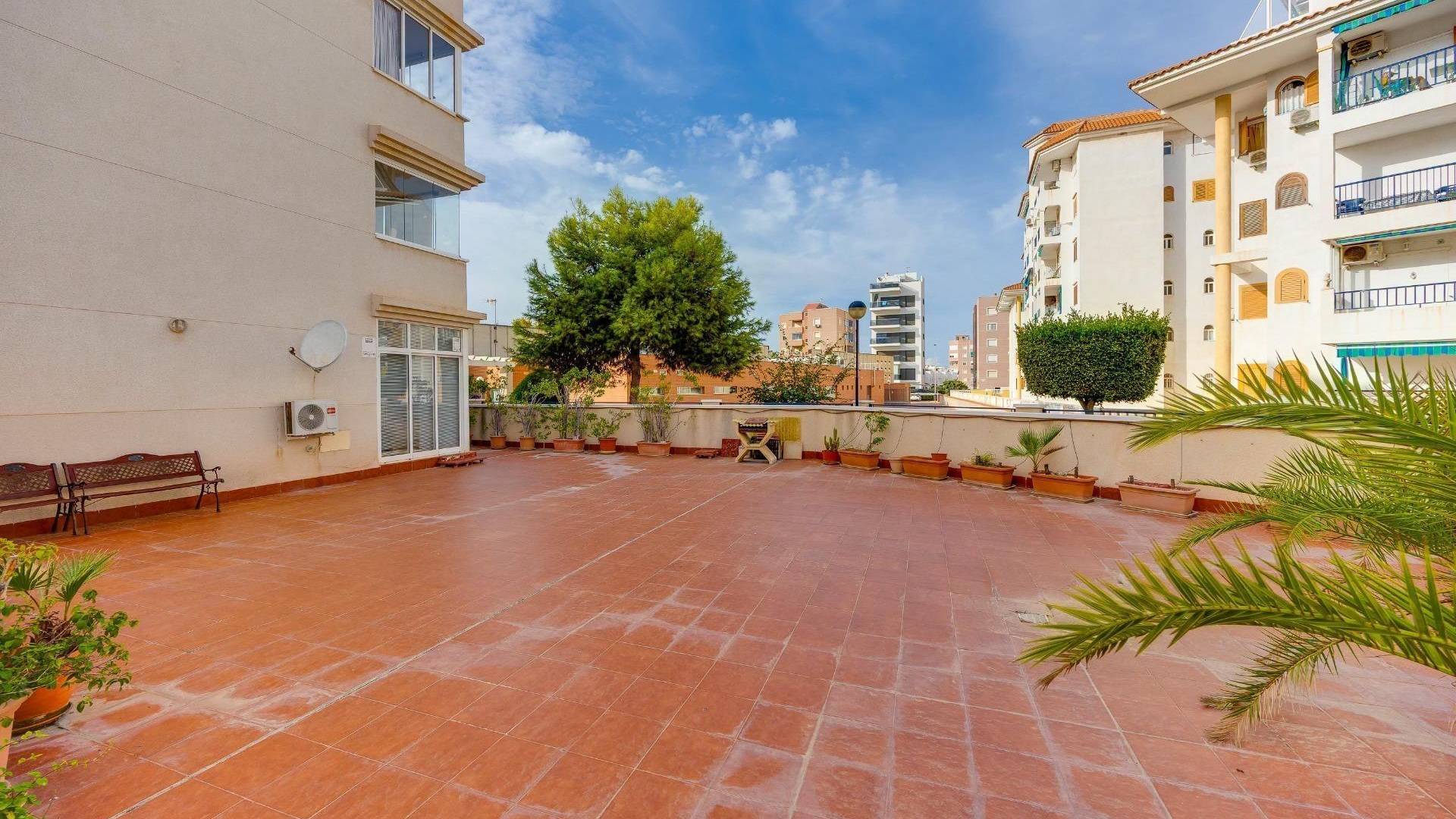 Tweedehands - Appartement - Torrevieja - Torreblanca